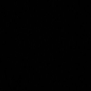 Meet your Posher, Isabella